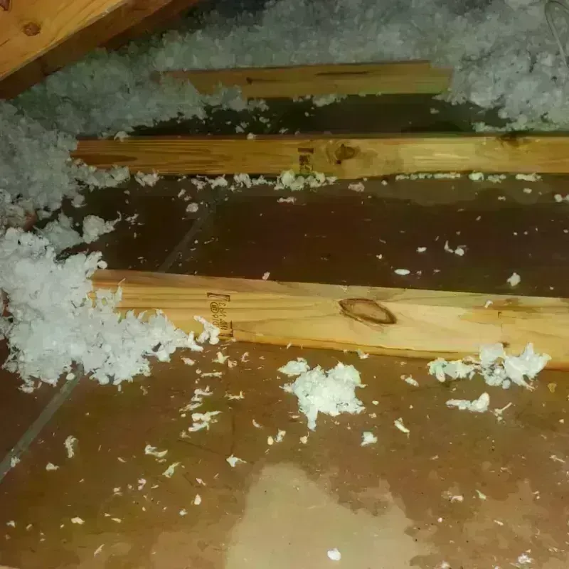 Attic Water Damage in Sheldon, IA