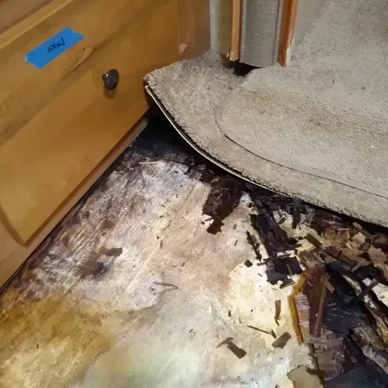 Wood Floor Water Damage in Sheldon, IA